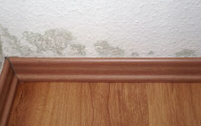 Solusio_Banner_website (2)