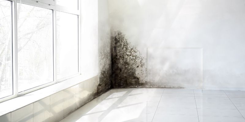 Solusio_Banner_website (3)